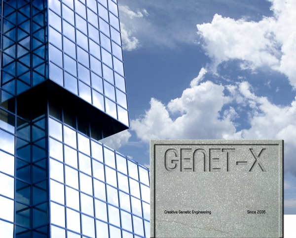 Creation of GENET-X: Step 4